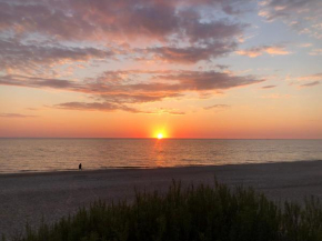 Jūra už lango in Palanga